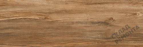 Фото Керамогранит матовый Lasselsberger Ипанема 6264-0011 (структурный) коричневый 200*600*8,5 – купить в Самаре: цена, описание, фото. Интернет-магазин 3